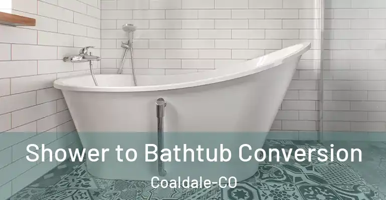 inner Bathroom imggen Shower to Bathtub Conversion Coaldale-CO