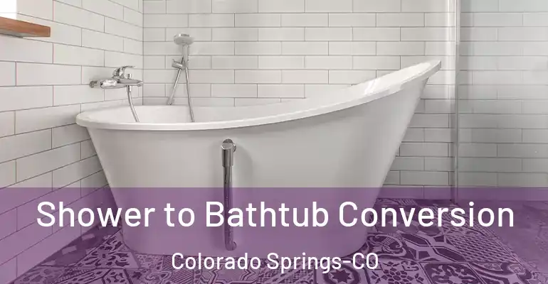 inner Bathroom imggen Shower to Bathtub Conversion Colorado Springs-CO