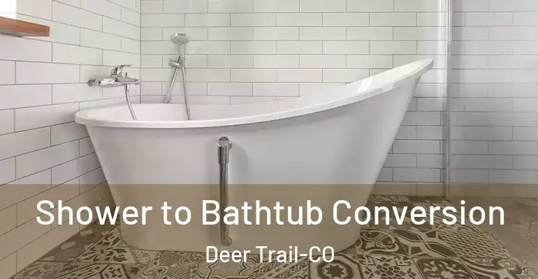 inner Bathroom imggen Shower to Bathtub Conversion Deer Trail-CO