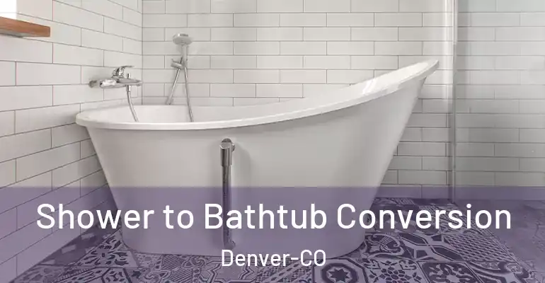 inner Bathroom imggen Shower to Bathtub Conversion Denver-CO