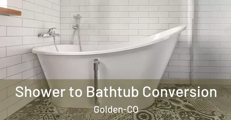 inner Bathroom imggen Shower to Bathtub Conversion Golden-CO