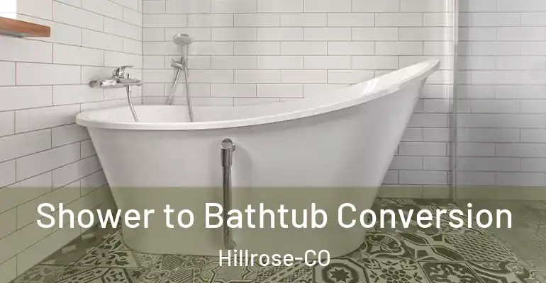 inner Bathroom imggen Shower to Bathtub Conversion Hillrose-CO
