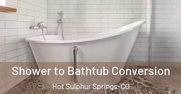 inner Bathroom imggen Shower to Bathtub Conversion Hot Sulphur Springs-CO