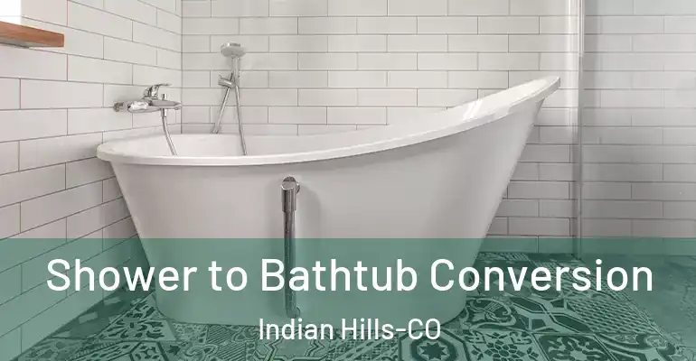 inner Bathroom imggen Shower to Bathtub Conversion Indian Hills-CO