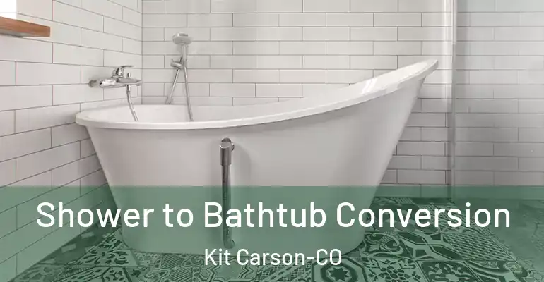 inner Bathroom imggen Shower to Bathtub Conversion Kit Carson-CO