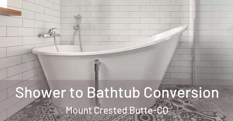 inner Bathroom imggen Shower to Bathtub Conversion Mount Crested Butte-CO
