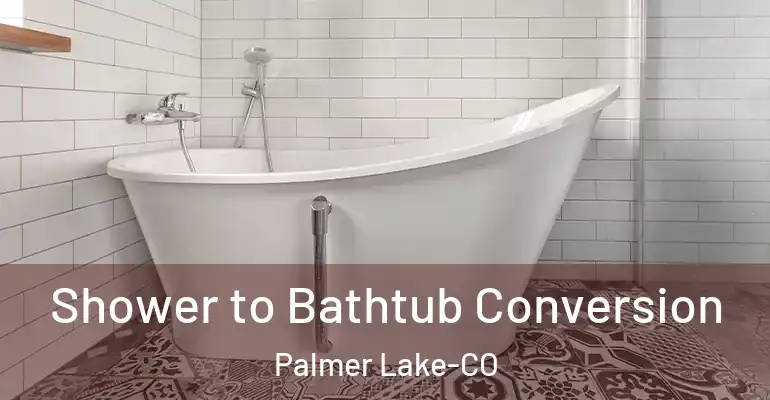inner Bathroom imggen Shower to Bathtub Conversion Palmer Lake-CO