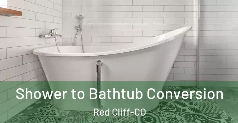 inner Bathroom imggen Shower to Bathtub Conversion Red Cliff-CO