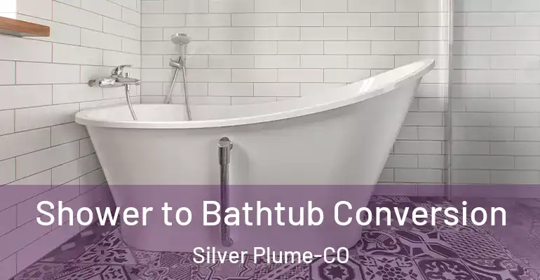 inner Bathroom imggen Shower to Bathtub Conversion Silver Plume-CO