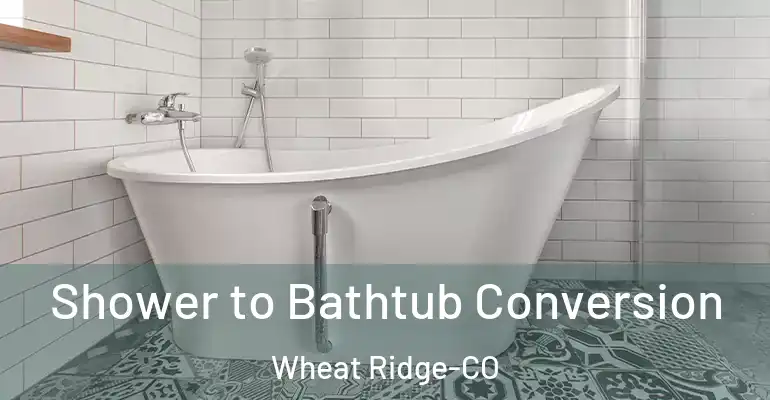 inner Bathroom imggen Shower to Bathtub Conversion Wheat Ridge-CO