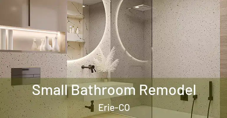 inner Bathroom imggen Small Bathroom Remodel Erie-CO