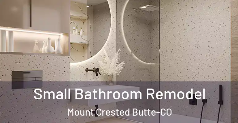 inner Bathroom imggen Small Bathroom Remodel Mount Crested Butte-CO