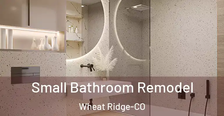 inner Bathroom imggen Small Bathroom Remodel Wheat Ridge-CO