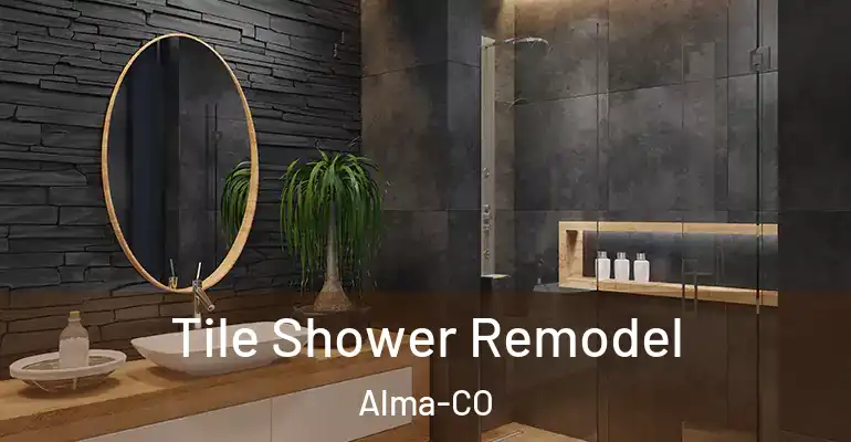 inner Bathroom imggen Tile Shower Remodel Alma-CO