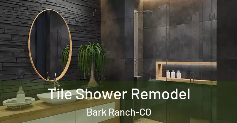 inner Bathroom imggen Tile Shower Remodel Bark Ranch-CO