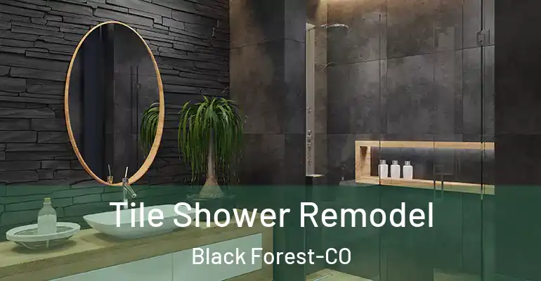 inner Bathroom imggen Tile Shower Remodel Black Forest-CO