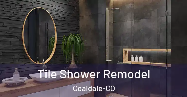 inner Bathroom imggen Tile Shower Remodel Coaldale-CO