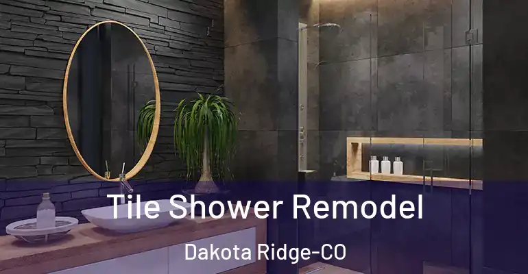 inner Bathroom imggen Tile Shower Remodel Dakota Ridge-CO
