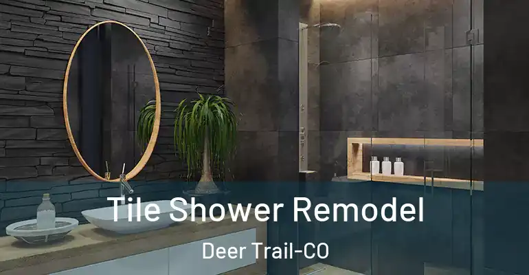 inner Bathroom imggen Tile Shower Remodel Deer Trail-CO