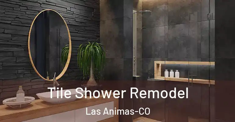 inner Bathroom imggen Tile Shower Remodel Las Animas-CO
