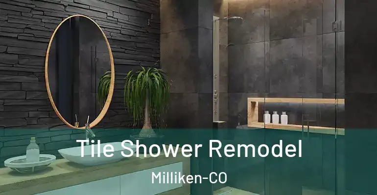 inner Bathroom imggen Tile Shower Remodel Milliken-CO