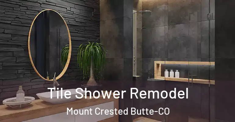 inner Bathroom imggen Tile Shower Remodel Mount Crested Butte-CO