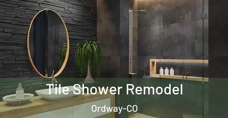 inner Bathroom imggen Tile Shower Remodel Ordway-CO