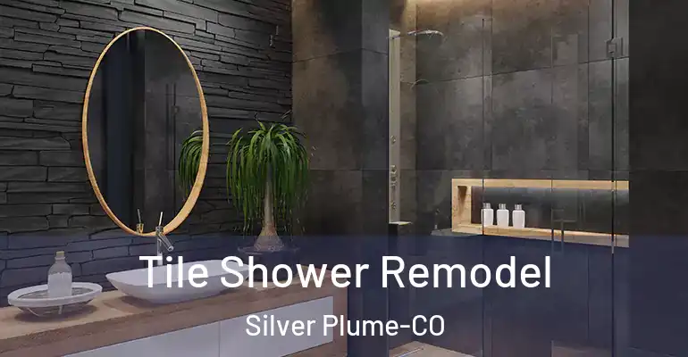 inner Bathroom imggen Tile Shower Remodel Silver Plume-CO