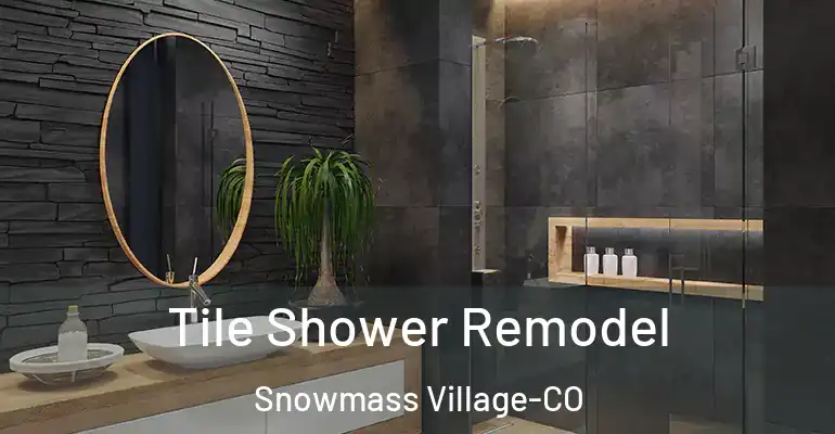 inner Bathroom imggen Tile Shower Remodel Snowmass Village-CO