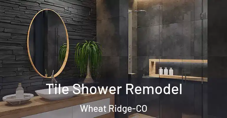 inner Bathroom imggen Tile Shower Remodel Wheat Ridge-CO