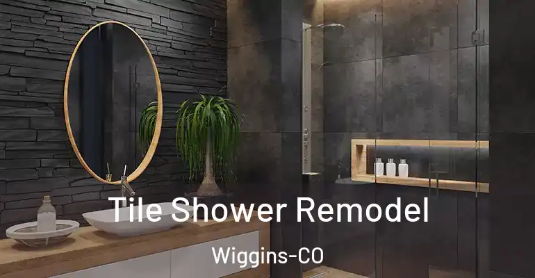 inner Bathroom imggen Tile Shower Remodel Wiggins-CO