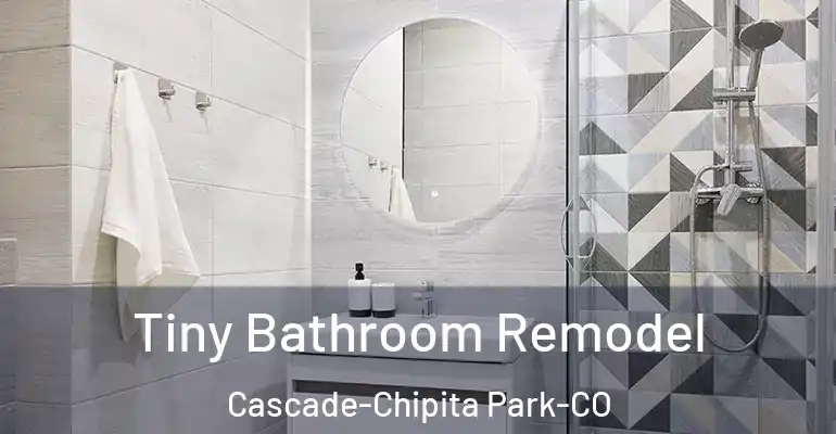 inner Bathroom imggen Tiny Bathroom Remodel Cascade-Chipita Park-CO