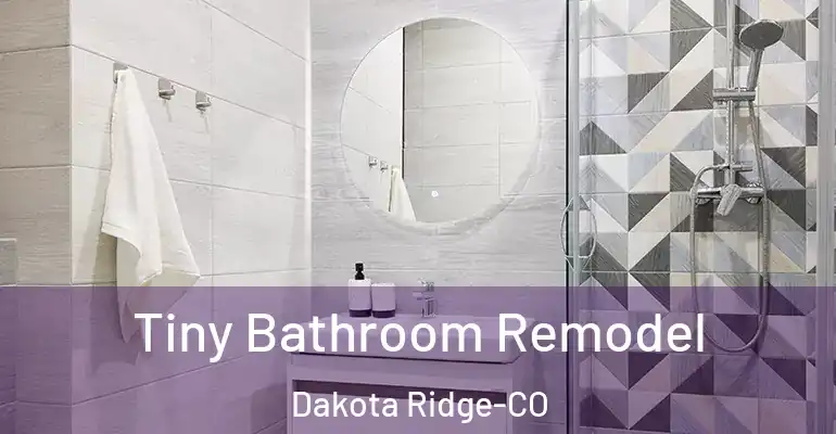 inner Bathroom imggen Tiny Bathroom Remodel Dakota Ridge-CO