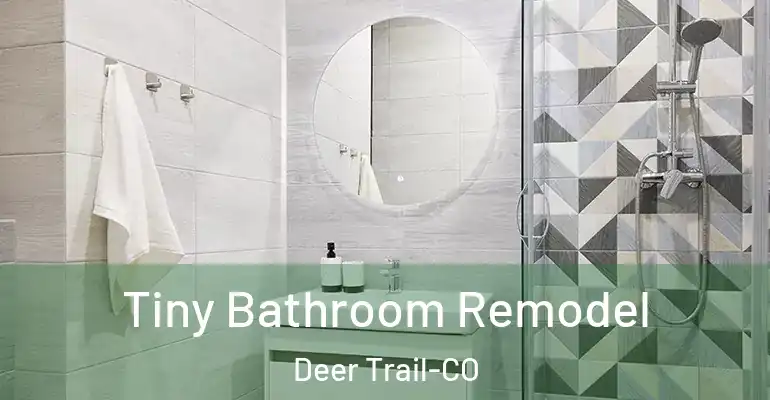 inner Bathroom imggen Tiny Bathroom Remodel Deer Trail-CO