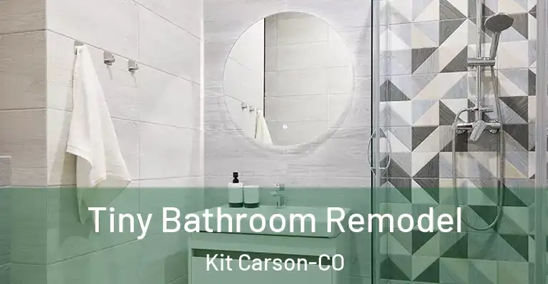 inner Bathroom imggen Tiny Bathroom Remodel Kit Carson-CO