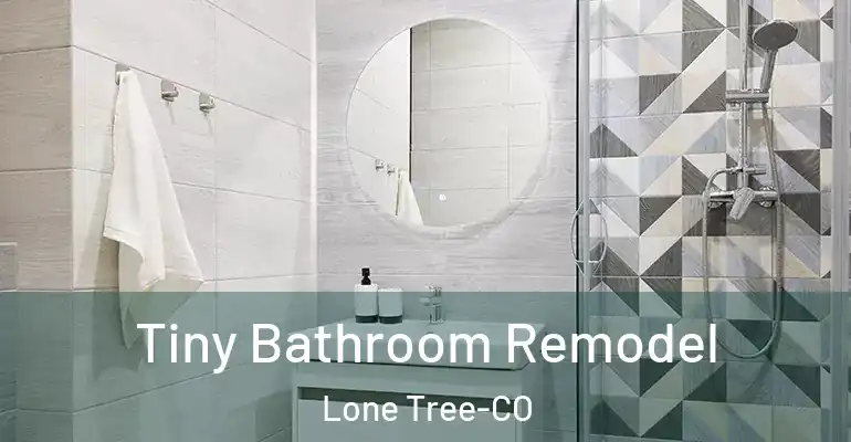 inner Bathroom imggen Tiny Bathroom Remodel Lone Tree-CO