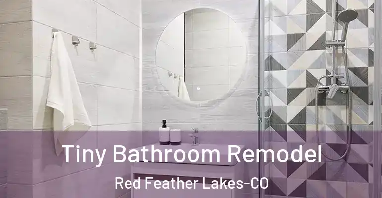 inner Bathroom imggen Tiny Bathroom Remodel Red Feather Lakes-CO