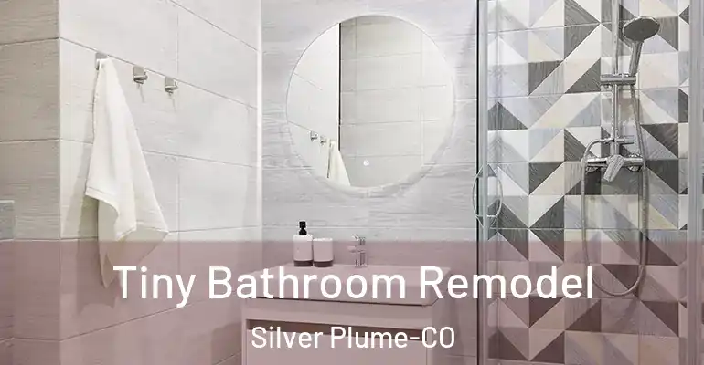 inner Bathroom imggen Tiny Bathroom Remodel Silver Plume-CO