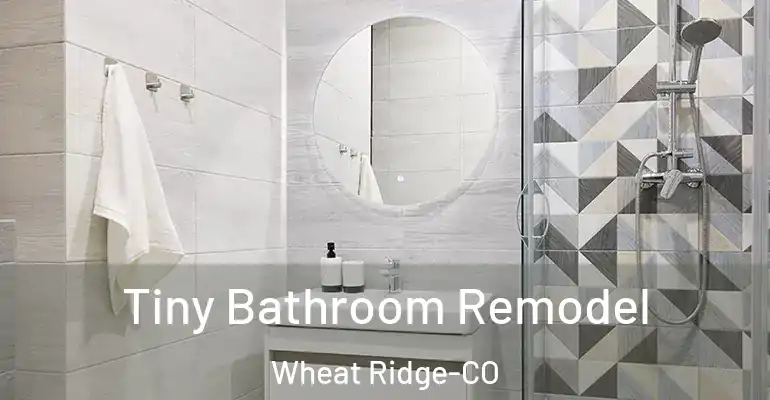 inner Bathroom imggen Tiny Bathroom Remodel Wheat Ridge-CO