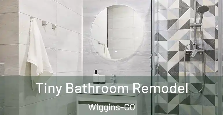inner Bathroom imggen Tiny Bathroom Remodel Wiggins-CO