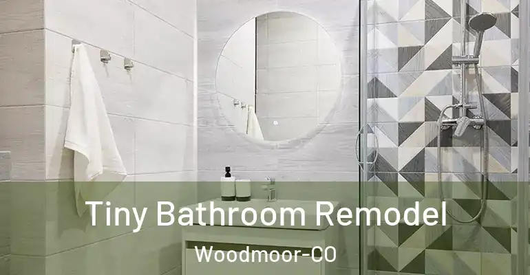 inner Bathroom imggen Tiny Bathroom Remodel Woodmoor-CO