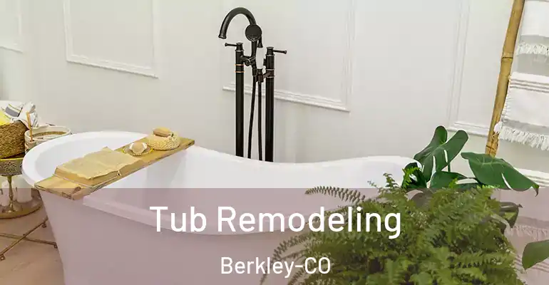 inner Bathroom imggen Tub Remodeling Berkley-CO