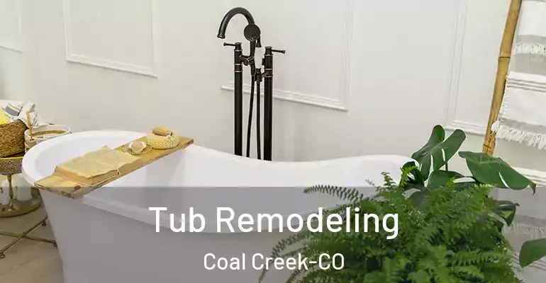 inner Bathroom imggen Tub Remodeling Coal Creek-CO