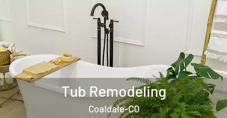 inner Bathroom imggen Tub Remodeling Coaldale-CO