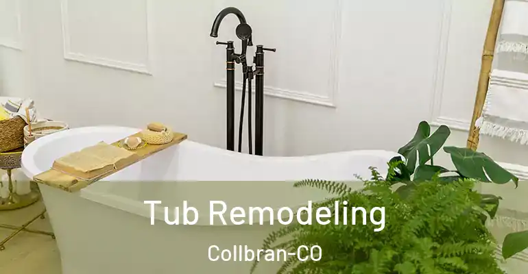 inner Bathroom imggen Tub Remodeling Collbran-CO