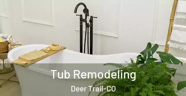 inner Bathroom imggen Tub Remodeling Deer Trail-CO