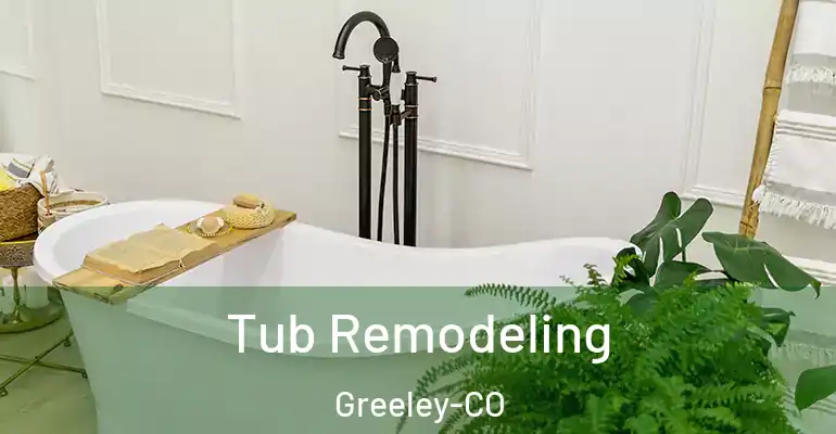 inner Bathroom imggen Tub Remodeling Greeley-CO