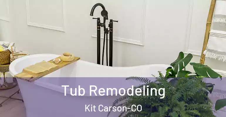 inner Bathroom imggen Tub Remodeling Kit Carson-CO