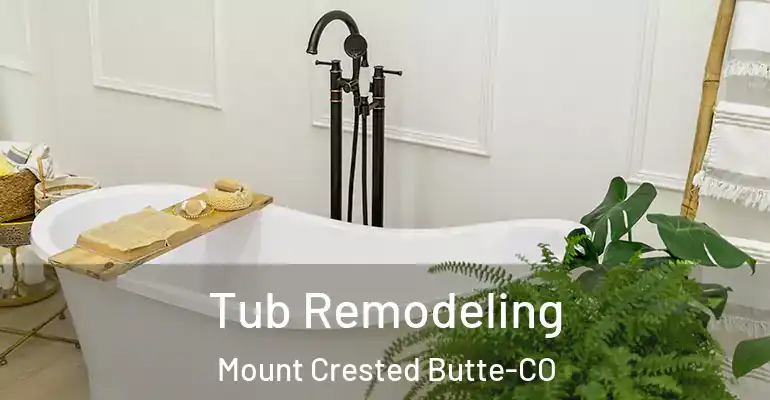 inner Bathroom imggen Tub Remodeling Mount Crested Butte-CO