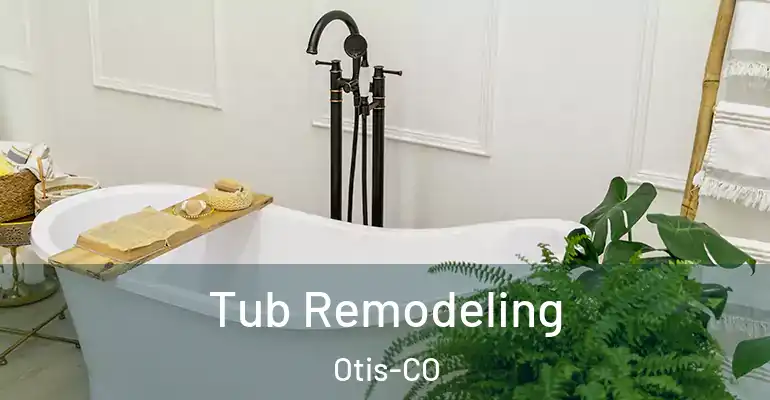 inner Bathroom imggen Tub Remodeling Otis-CO